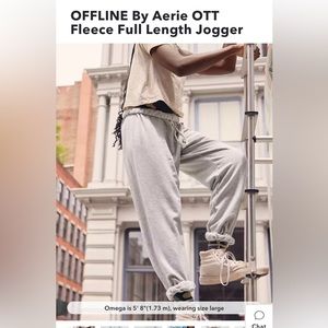 Aerie Gray Sweatpants